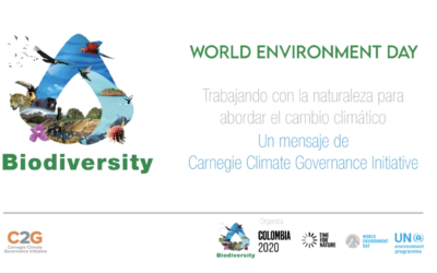 A Message on 2020 World Environment Day – Janos Pasztor