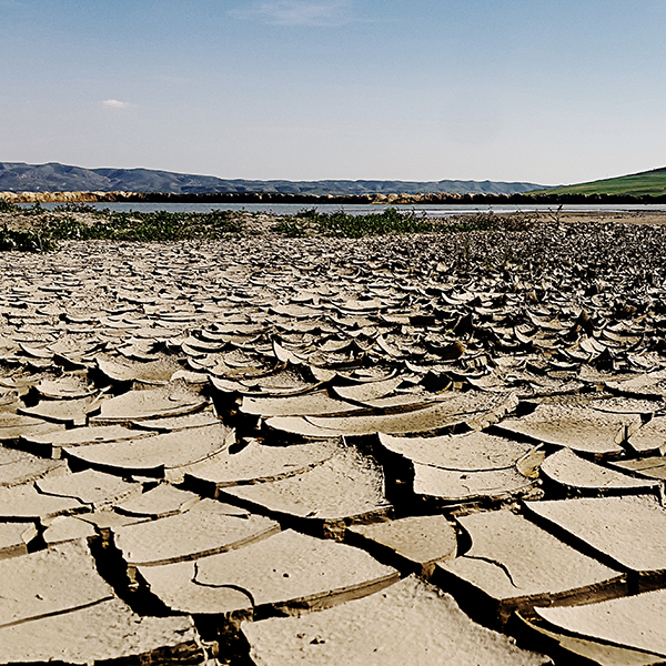 Drought land dry mud BOUHANIFIA Algeria