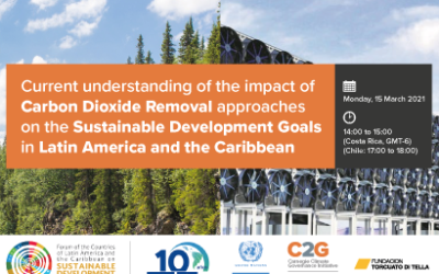 Impacto de las medidas y/o tecnologías de remoción de CO₂ sobre los Objetivos de Desarrollo Sostenible en América Latina y el Caribe