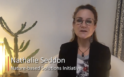 Gouvernance des approches basées sur la nature pour l’élimination du dioxyde de carbone – Nathalie Seddon