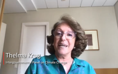 C2GLearn Webinar: Large-scale Carbon Dioxide Removal and the Sustainable Development Goals – Thelma Krug
