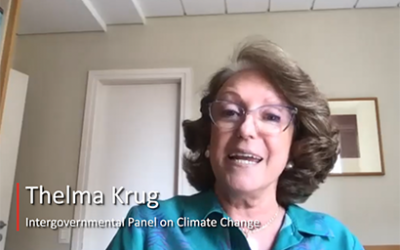 Eliminación de dióxido de carbono y los Objetivos de Desarrollo Sostenible – Thelma Krug