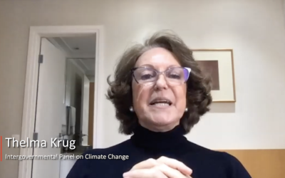Seminario web: Introducción a la gobernanza de los técnicas emergentes que alteran el clima – Thelma Krug