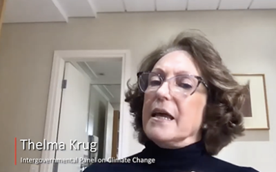 Seminario web: Introducción a la gobernanza de la modificación de la radiación solar – Thelma Krug