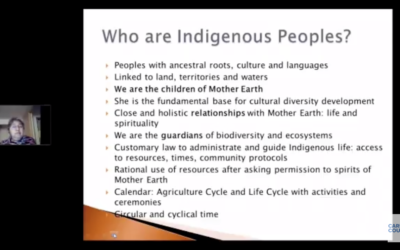 Views from Indigenous Peoples on Geoengineering Research and Governance