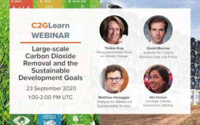 C2GLearn Webinar: Large-scale Carbon Dioxide Removal and the Sustainable Development Goals