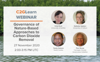 C2GLearn Webinar: Governance of Nature-Based Approaches to large-scale Carbon Dioxide Removal