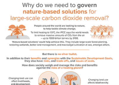 Infographic: Why do we need to govern nature-based solutions for large-scale carbon dioxide removal?