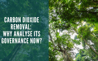 Webinar: Carbon Dioxide Removal: Why Analyse its Governance Now?